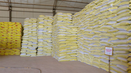 高臺(tái)農(nóng)資儲(chǔ)備充足，春耕生產(chǎn)有保障——化肥銷售助力農(nóng)業(yè)穩(wěn)產(chǎn)